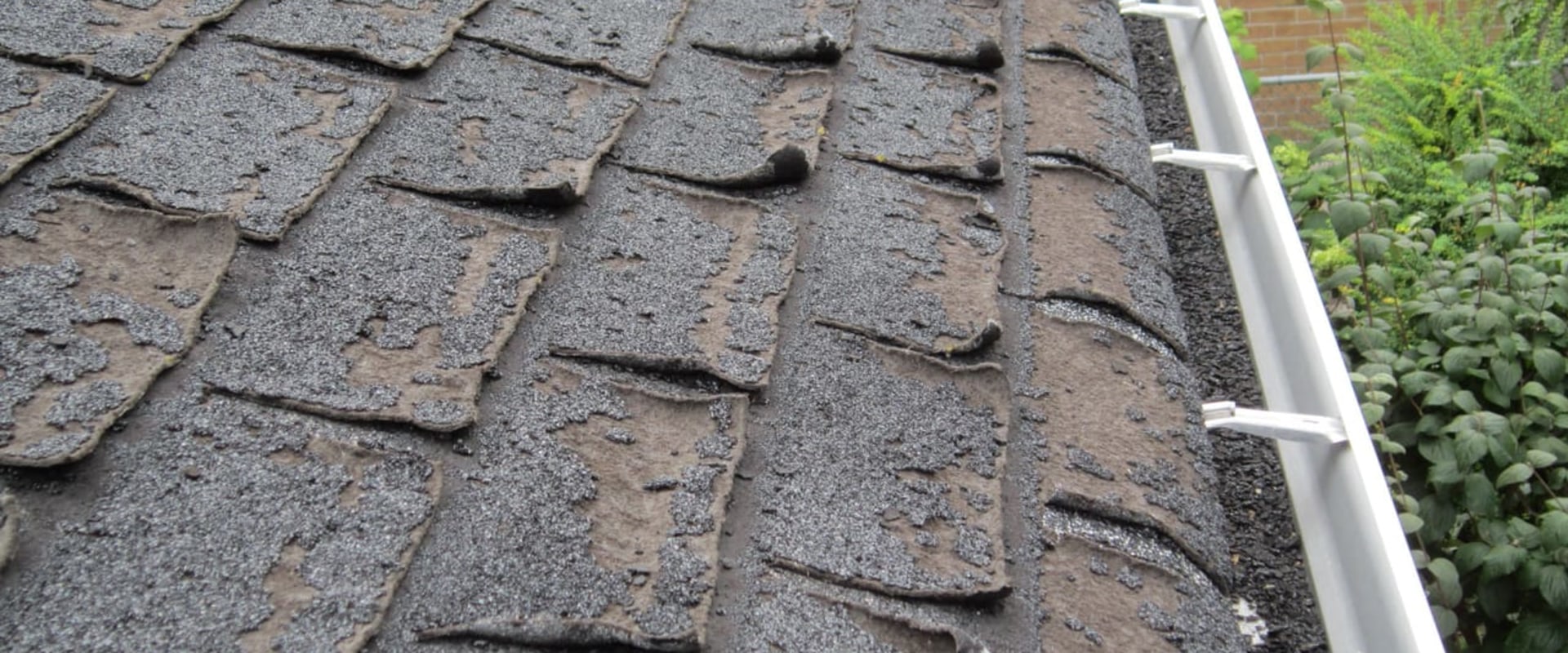 Signs of a Failing Shingle Roof: What to Look Out For