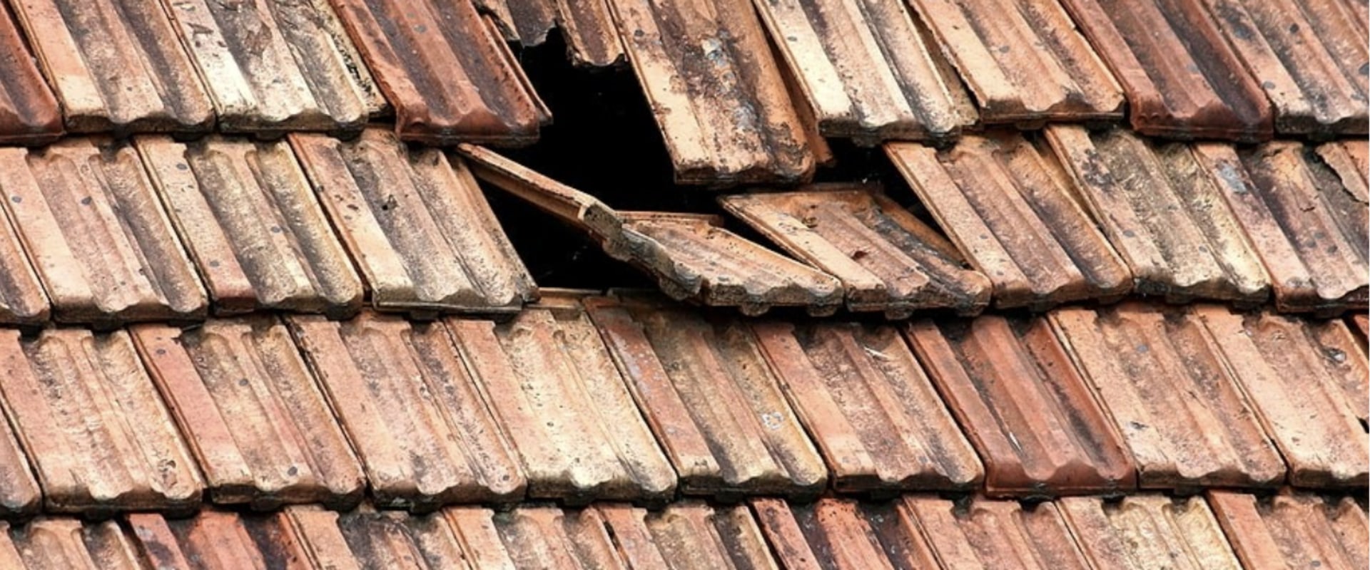 The Top Cause of Roof Failure and How to Prevent It